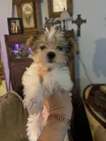 processed/f676d774-e9f8-4e8b-b393-90208b7fb74b/facility/1225e7e9-bea7-4e07-a7b7-c7c819bceb42