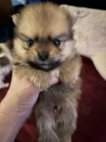 processed/f676d774-e9f8-4e8b-b393-90208b7fb74b/facility/35a7e5b7-d3ee-4026-86a2-004f348dd231