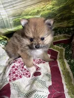 processed/f676d774-e9f8-4e8b-b393-90208b7fb74b/facility/37af87ca-0d0e-4bfd-af16-597181937ed4