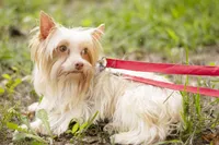 processed/f676d774-e9f8-4e8b-b393-90208b7fb74b/facility/4949a59c-e9a0-4ca3-a8ee-b60c4aa53d3c