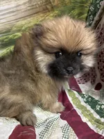 processed/f676d774-e9f8-4e8b-b393-90208b7fb74b/facility/8a17c76a-476c-4316-9d0c-d6379978d3cc