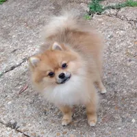 processed/f676d774-e9f8-4e8b-b393-90208b7fb74b/facility/8ca4ca1c-f589-4ee9-8bbb-e8d360935e0b