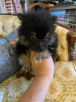 processed/f676d774-e9f8-4e8b-b393-90208b7fb74b/facility/90250885-5661-4b95-b0c5-4c562a5f3f96