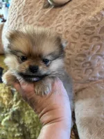 processed/f676d774-e9f8-4e8b-b393-90208b7fb74b/facility/e5336298-6c3c-430e-8605-8eccdad2ac9d