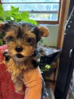 processed/f676d774-e9f8-4e8b-b393-90208b7fb74b/facility/fb3d54e3-2b56-4641-a1f7-18c5f19a09d7