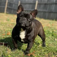 processed/f68105ee-5095-476e-bbb8-544f5838eefc/facility/5cd07284-505e-4214-aa1e-ae0448d0a694