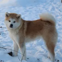 processed/f681c3b2-8321-48f8-8e1b-6149aa1ccd36/facility/15030ff6-792d-47bd-b60f-8f6684056c99