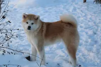 processed/f681c3b2-8321-48f8-8e1b-6149aa1ccd36/facility/15030ff6-792d-47bd-b60f-8f6684056c99