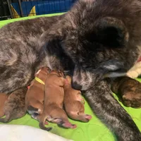 processed/f681c3b2-8321-48f8-8e1b-6149aa1ccd36/facility/9549bee0-9ca0-4b59-97e4-64f07c679d32