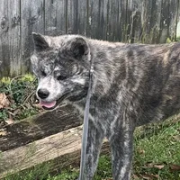 processed/f681c3b2-8321-48f8-8e1b-6149aa1ccd36/facility/9e05dfca-4610-4e94-980c-d015c7f349b3