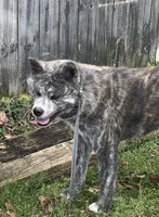 processed/f681c3b2-8321-48f8-8e1b-6149aa1ccd36/facility/9e05dfca-4610-4e94-980c-d015c7f349b3