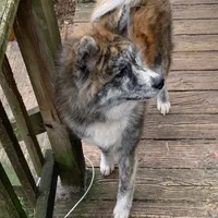 processed/f681c3b2-8321-48f8-8e1b-6149aa1ccd36/facility/c142ec50-ee3b-4151-80ea-8445c40bd858