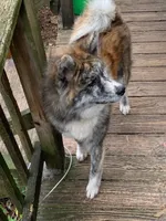 processed/f681c3b2-8321-48f8-8e1b-6149aa1ccd36/facility/c142ec50-ee3b-4151-80ea-8445c40bd858