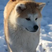 processed/f681c3b2-8321-48f8-8e1b-6149aa1ccd36/facility/c40a6907-835f-4ea4-9635-7fb95b86a29c