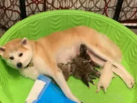 processed/f681c3b2-8321-48f8-8e1b-6149aa1ccd36/facility/ea74dee6-988e-4eb7-8b29-8cef3c1fff17