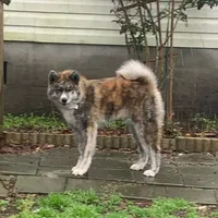 processed/f681c3b2-8321-48f8-8e1b-6149aa1ccd36/facility/edbfaac8-8eca-41b5-9108-a47e9edc579c