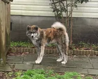 processed/f681c3b2-8321-48f8-8e1b-6149aa1ccd36/facility/edbfaac8-8eca-41b5-9108-a47e9edc579c