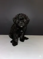 processed/f683fcfe-2da5-4282-badd-983fa282dac1/listing/20171e35-54ef-4749-81f8-33467e695d8c/7d262eab-9bbf-490d-b9dd-a6a78313c879