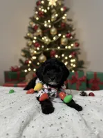 processed/f683fcfe-2da5-4282-badd-983fa282dac1/listing/20171e35-54ef-4749-81f8-33467e695d8c/b0d00439-cdf2-4bfc-a509-c7a85bb506d7