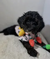 processed/f683fcfe-2da5-4282-badd-983fa282dac1/listing/20171e35-54ef-4749-81f8-33467e695d8c/b693276e-9e32-4105-bf78-ef349954843b