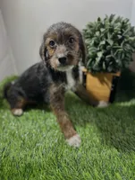 processed/f683fcfe-2da5-4282-badd-983fa282dac1/listing/bec13ad0-e489-42f3-9ee9-af5453530b1b/b5cb60cb-dfbf-44a0-ab33-25addec158e4