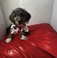 processed/f683fcfe-2da5-4282-badd-983fa282dac1/listing/bec13ad0-e489-42f3-9ee9-af5453530b1b/e31bf709-931c-41bc-add7-ac9d194e80df