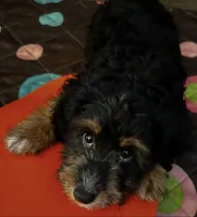 processed/f683fcfe-2da5-4282-badd-983fa282dac1/listing/d30534dc-863b-4289-95a6-7d53f88c3103/41e69f58-4b24-423d-8527-22b3c3fbcfde