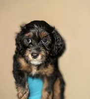 processed/f683fcfe-2da5-4282-badd-983fa282dac1/listing/d30534dc-863b-4289-95a6-7d53f88c3103/54c4b9a4-de4a-44c1-ad93-d05270b3ee21