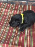 processed/f6878cfa-b7c5-4a73-8a04-103119f58155/listing/ed1a1aa5-ae0a-4c01-8a91-df6ca16dba55/3566b571-8a63-4b22-99d5-06d7ddd8c8d8