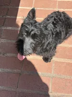 processed/f6878cfa-b7c5-4a73-8a04-103119f58155/listing/ed1a1aa5-ae0a-4c01-8a91-df6ca16dba55/6c178adc-3137-49bb-a2b5-4a74fe13e9eb