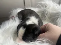 processed/f6932189-6830-41a2-9d90-f3de301c9205/listing/1bd6816e-043a-468f-92f4-f2ce71c0befe/31a880e7-076d-4d34-b2a1-54de7333000d