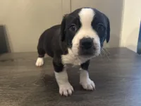 processed/f6932189-6830-41a2-9d90-f3de301c9205/listing/1bd6816e-043a-468f-92f4-f2ce71c0befe/beebf402-ea0c-4cc2-b04d-a414f4b1fdc6