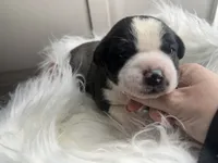 processed/f6932189-6830-41a2-9d90-f3de301c9205/listing/1bd6816e-043a-468f-92f4-f2ce71c0befe/c9391804-ed2a-4aff-95fd-6c30629ed607