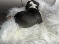 processed/f6932189-6830-41a2-9d90-f3de301c9205/listing/1bd6816e-043a-468f-92f4-f2ce71c0befe/dff88dbc-c100-4338-8d18-0c5c0bf4e4a0