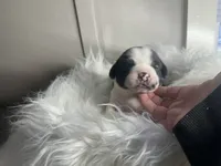 processed/f6932189-6830-41a2-9d90-f3de301c9205/listing/5012e7e7-778d-40b7-a318-70c761e43bb2/3155efba-6fb1-4d9e-b022-c10d45b2bf8c