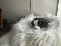 processed/f6932189-6830-41a2-9d90-f3de301c9205/listing/5012e7e7-778d-40b7-a318-70c761e43bb2/414aa890-dc27-46be-bfdc-edbba93eef19