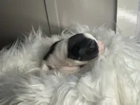 processed/f6932189-6830-41a2-9d90-f3de301c9205/listing/5012e7e7-778d-40b7-a318-70c761e43bb2/5d65d18f-b515-45ed-8b0d-fa8d589a399d