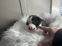 processed/f6932189-6830-41a2-9d90-f3de301c9205/listing/5012e7e7-778d-40b7-a318-70c761e43bb2/80447a2c-6ccd-49fe-9838-113eb2b3dcb6