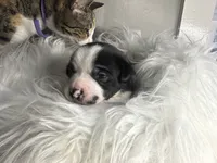 processed/f6932189-6830-41a2-9d90-f3de301c9205/listing/5012e7e7-778d-40b7-a318-70c761e43bb2/976d82b1-ae09-4e8a-80da-045cf2356885