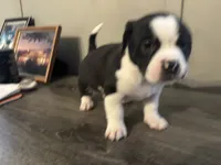 processed/f6932189-6830-41a2-9d90-f3de301c9205/listing/5012e7e7-778d-40b7-a318-70c761e43bb2/bdcd336e-1cc3-4e7f-a110-9e9435884f75