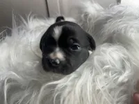 processed/f6932189-6830-41a2-9d90-f3de301c9205/listing/6fc0437e-dd1b-4e9f-be58-c1d04fa52a83/3c338056-fd78-4815-b00d-bb801559ec27