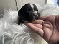 processed/f6932189-6830-41a2-9d90-f3de301c9205/listing/6fc0437e-dd1b-4e9f-be58-c1d04fa52a83/53aaaf78-8893-4892-92ef-443be8a119a6