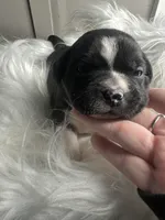 processed/f6932189-6830-41a2-9d90-f3de301c9205/listing/6fc0437e-dd1b-4e9f-be58-c1d04fa52a83/95b3f2b6-d5e6-40dd-bce5-a0753b8f643c