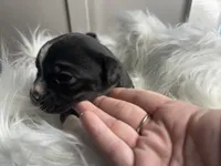 processed/f6932189-6830-41a2-9d90-f3de301c9205/listing/6fc0437e-dd1b-4e9f-be58-c1d04fa52a83/98b9ac14-3def-4ad0-9ee1-2751ef803689