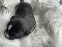 processed/f6932189-6830-41a2-9d90-f3de301c9205/listing/6fc0437e-dd1b-4e9f-be58-c1d04fa52a83/bea975f6-c804-4233-b95d-ad09346832ef