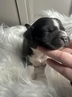 processed/f6932189-6830-41a2-9d90-f3de301c9205/listing/6fc0437e-dd1b-4e9f-be58-c1d04fa52a83/cf74b8c8-8b71-4433-bbba-8856656510e3