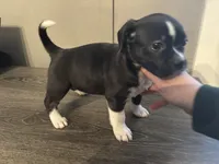 processed/f6932189-6830-41a2-9d90-f3de301c9205/listing/6fc0437e-dd1b-4e9f-be58-c1d04fa52a83/f3b57e1b-1492-47e7-a109-e8702ae31929