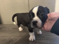 processed/f6932189-6830-41a2-9d90-f3de301c9205/listing/833e6c57-20a9-4836-bc96-1c1ce9a7c089/54fdaef2-bd5a-44fa-b205-d29ae5c55773