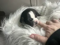 processed/f6932189-6830-41a2-9d90-f3de301c9205/listing/833e6c57-20a9-4836-bc96-1c1ce9a7c089/8a372566-2727-4171-8fca-aa0bfe48feef