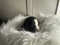 processed/f6932189-6830-41a2-9d90-f3de301c9205/listing/833e6c57-20a9-4836-bc96-1c1ce9a7c089/8def00e1-63a2-4730-9d47-9dc4bbb830b8